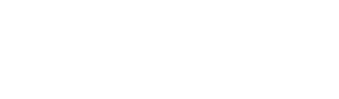 Medinet_Logo_300_172px